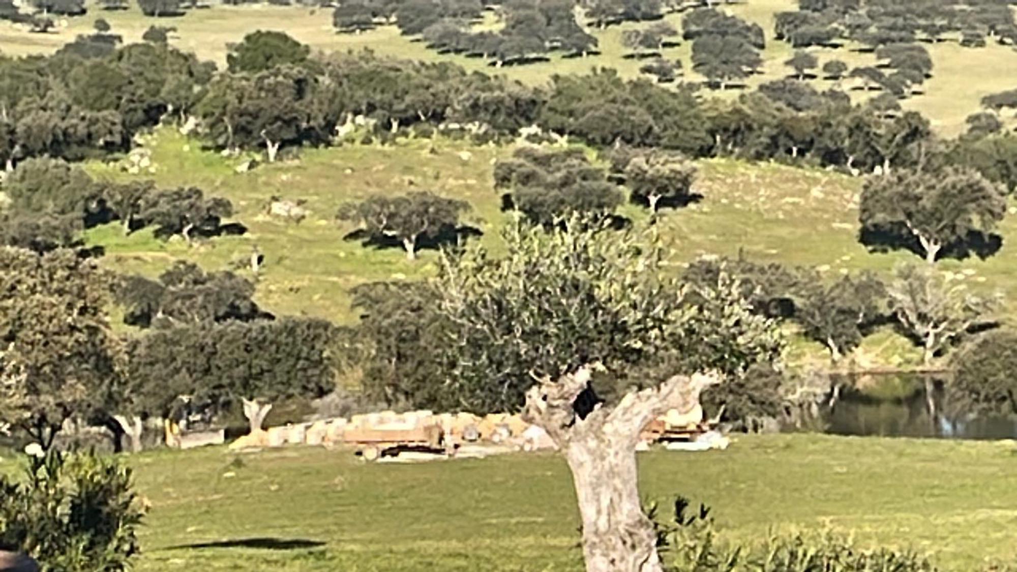 הוילה וילה ויקוזה Monte Dos Cordeiros מראה חיצוני תמונה